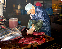 一本釣りの生かつおが原料です